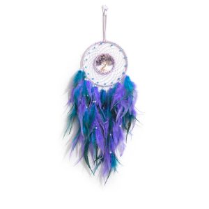 Atrapasuenos Con Plumas